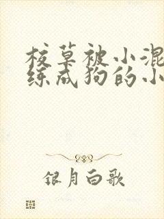 校草被小混混训练成狗的小说封面