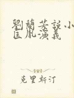 刘兰芳说小说赵匡胤演义