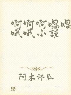 啊啊啊嗯嗯嗯哦哦哦小说