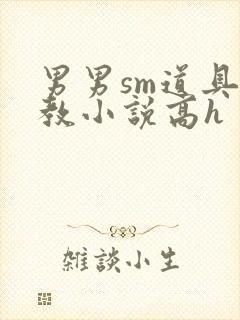 男男sm道具调教小说高h