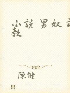 小说 男奴 调教