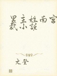 男主姓南宫的总裁小说封面