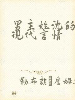 男主姓沈的小说现代言情