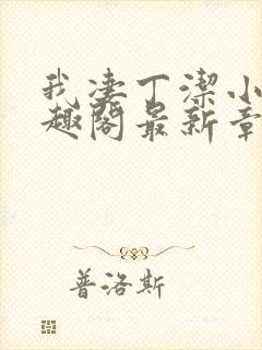 我凄丁洁小说笔趣阁最新章节更新时