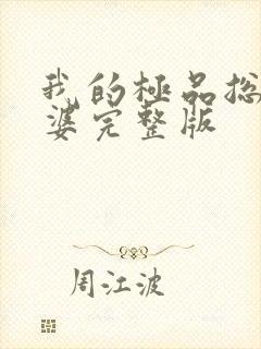 我的极品总裁老婆完整版