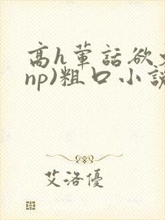 高h荤话欲文(np)粗口小说