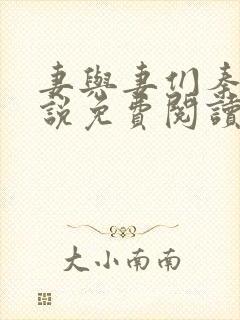 妻与妻们秦岚小说免费阅读最新章节封面