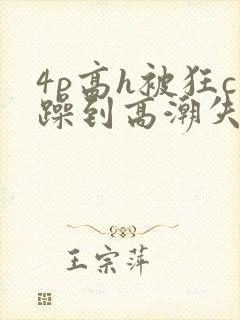 4p高h被狂c躁到高潮失禁文