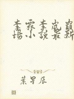 李霖李岚巅峰官场小说最新章节更新