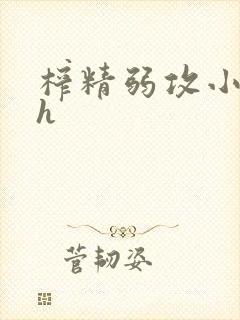 榨精弱攻小说高h封面