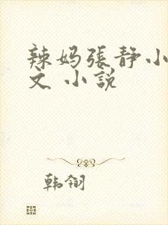 辣妈张静小说全文 小说封面