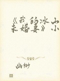 《我的冰山总裁未婚妻》小说封面