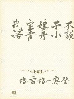 我家娘子不对劲洛青舟小说免费阅读