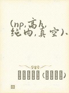 (np,高h,纯肉,真空)小说