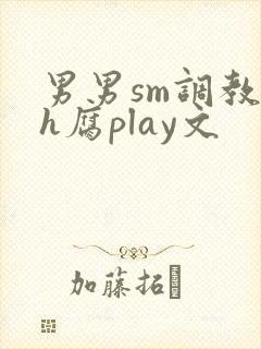 男男sm调教高h腐play文