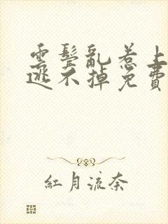 云鬓乱惹上权臣逃不掉免费