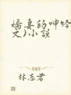 娇妻的呻吟(辣文)小说