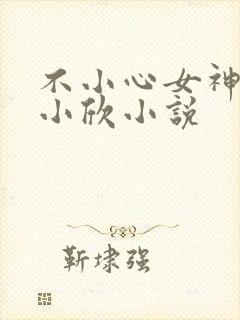 不小心女神女友小欣小说