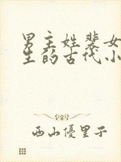 男主姓裴女主重生的古代小说封面