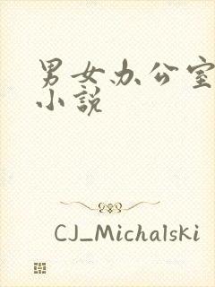 男女办公室激情小说封面