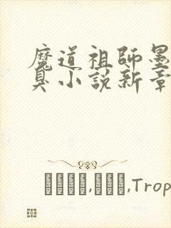 魔道祖师墨香铜臭小说新章节列表封面