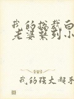 我的总裁白富美老婆系列小说