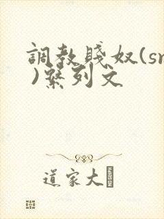 调教贱奴(sm )系列文