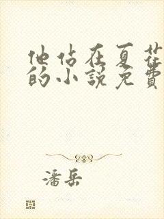 他站在夏花绚烂的小说免费