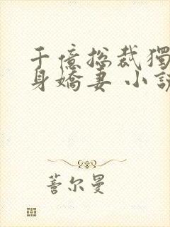 千亿总裁独宠替身娇妻 小说完整板