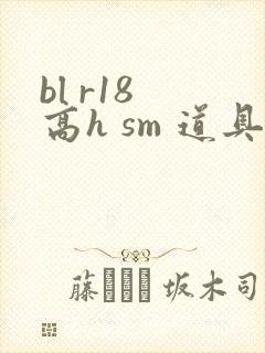 bl r18 高h sm 道具 文