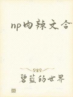 np肉辣文合集封面