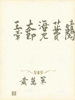 王大海芷晴全部章节免费阅读