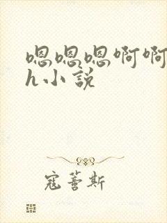 嗯嗯嗯啊啊啊高h小说