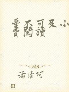 爱不可及小说免费阅读封面