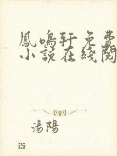 凤鸣轩免费言情小说在线阅读