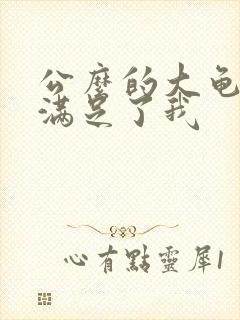 公么的大龟强大满足了我