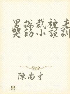 男总裁被老婆揍哭的小说训诫