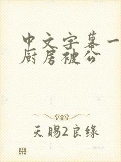 中文字幕一人妻厨房被公封面