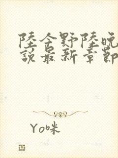 陆今野陆晚笙小说最新章节更新