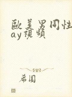 欧美男同性恋gay视频