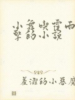 小舞吃霍雨浩巨擎的小说