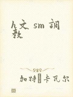 h文 sm 调教封面