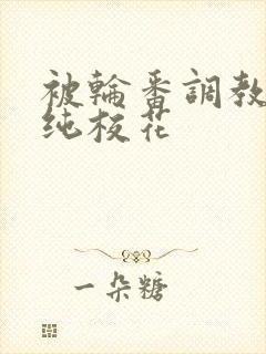 被轮番调教的清纯校花