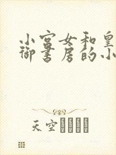 小宫女和皇上在御书房的小说叫什么