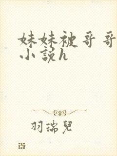 妹妹被哥哥干哭小说h