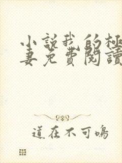 小说我的极品娇妻免费阅读全文