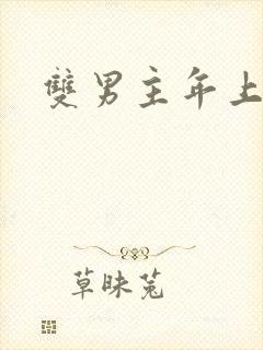 双男主年上双性封面