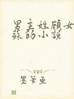 男主姓顾女主姓苏的小说