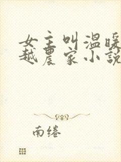 女主叫温暖的穿越农家小说封面