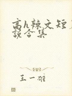 高h辣文短篇小说合集